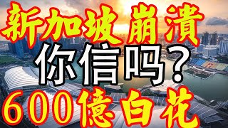 新加坡经济崩溃，600亿白花了——您想听真话还是假话？Singapore spent 60 billion but only got a collapse is that real [upl. by Asseral]