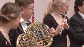 Donauwalzer AltWiener StraussEnsemble The blue Danube Waltz [upl. by Notnyw]