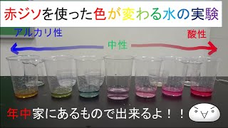 実験 赤ジソを使った色が変わる水の実験 ※家庭で試される場合は注意事項を呼んでください [upl. by Atterual]