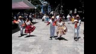 danza folklorica Oaxaqueña traditional dance from Oaxaca Mexico [upl. by Nivrem]