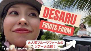 Finally tried TROPICAL FRUITS in Malaysia Desaru Fruit Farm  デサルフルーツファームで体験できるアクティビティをたっぷりご紹介！ [upl. by Yahsan]