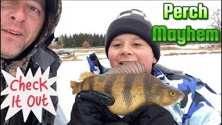 Catching perch in Wisconsin [upl. by Hilario]