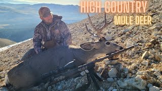 Mule Deer Hunt in X12 CA [upl. by Tj]