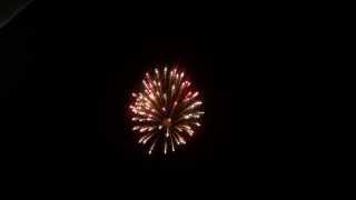 Cool Firework Shell Effect [upl. by Anoniw567]