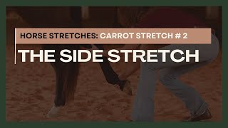 Horse Stretches Carrot Stretch 2 The Side Stretch 2020 [upl. by Hughie]