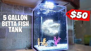 The BEST 5 Gallon Betta Fish Tank Setup [upl. by Aneehsal]