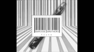 Barcode Brothers  Flute DJ Digress [upl. by Adelle]