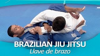 BRAZILIAN JIU JITSU 3  Llave de brazo [upl. by Acquah350]