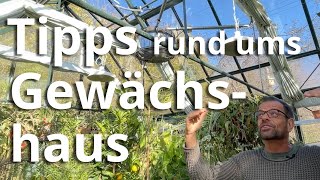 Tipps rund um die verschiedenen Gewächshäuser  so bekommst du ein grünes Paradies unter Glas [upl. by Anada]