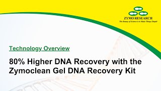 80 Higher DNA Recovery with the Zymoclean Gel DNA Recovery Kit  Zymo Research [upl. by Bucella848]