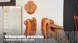 Orthographic Projection  Bell pepper color [upl. by Erastatus]