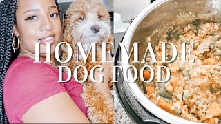 HOMEMADE DOG FOOD FOR MY CAVAPOO PUPPY  Quick Easy amp Vet Approved [upl. by Ellenrahs758]