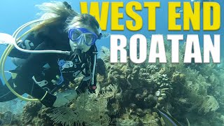 Scuba Diving WEST END of Roatan  Ep 107 [upl. by Adnahsar]