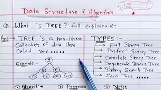 Tree in Data Structures  Learn Coding [upl. by Grimonia957]