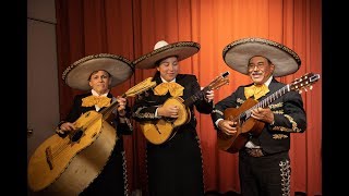 OMG Mexican Mariachi Band for Wedding Trio [upl. by Ayt426]