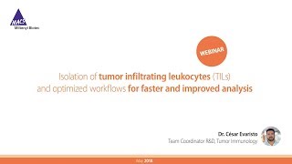 Tumor microenvironment – TIL isolation and flow cytometry analysis WEBINAR [upl. by Ivana]