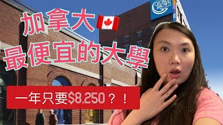 加拿大🇨🇦學費最便宜的大學  Top 7 Cheapest Colleges in Canada [upl. by Brittani417]