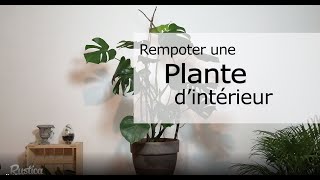 Comment rempoter une plante dintérieur [upl. by Airtemad]