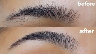 HOW TO GROOM  SHAPE YOUR EYEBROWS super easy  at home [upl. by Llednek]