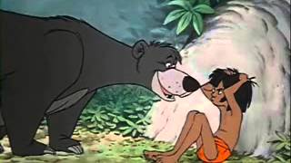 The Jungle Book Baloo Hit Nose [upl. by Thekla]