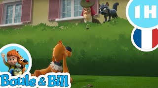 😖 Bill est innocent  ⚠️  Nouvelle compilation Boule et Bill FR [upl. by Ayarahs987]