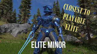 Closest thing to playable elites  Elite minor  Halo Infinite fit [upl. by Gery]