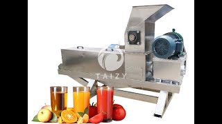 High output spiral juicer machine  apple fruit vegetable juicer  juicing machine  screw juicer [upl. by Ijan]