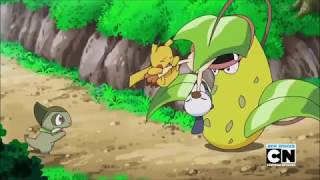 Victreebel Uses Stun Spore On Meowth [upl. by Anayi]