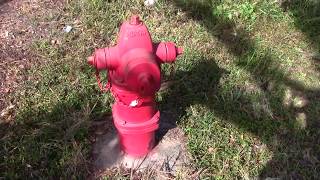 Properly Maintained amp Identification Tag Attached to a Waterous WB 67 Dry Barrel Fire Hydrant [upl. by Ainatit423]