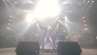 山根康広★YELLを君に 【 LIVE quotSTARTING OVERquot 】 [upl. by Nwahsd]