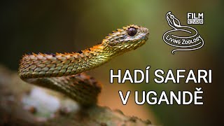 Hadí safari v Ugandě dokumentární film studia LivingZoology [upl. by Astrahan45]