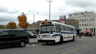 Brantford Transit 9725 [upl. by Savill]