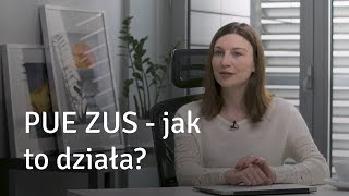 PUE ZUS  jak to działa [upl. by Morette764]