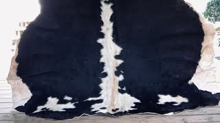 Cow Hide Tanning for Beginners  Soften a Ruff Hide [upl. by Adekan118]