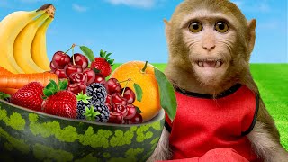 Baby monkey ChiChi visited the heavenly world of delicious fruits [upl. by Hiltner]