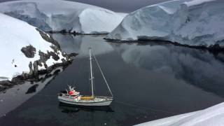 Sailing Antarctica Whales Penguins and Icebergs on the Ultimate Polar Nature Expedition [upl. by Forlini436]