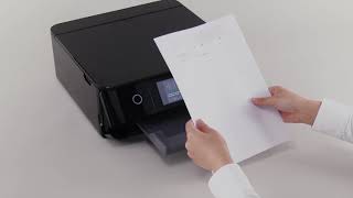 Unpacking and Setting Up a Printer Epson XP8600 NPD6314 [upl. by Squires]