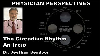 Physician Perspectives Circadian Rhythm – An Intro [upl. by Oisinoid294]