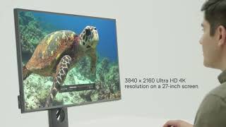 Dell UltraSharp 27 4K Monitor  U2718Q [upl. by Hbaruas]