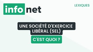 Une société dexercice libéral cest quoi  définition aide lexique tuto explication [upl. by Karlens38]