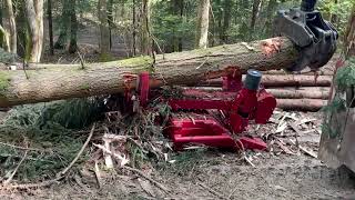 Ebrancheuse à bois résineux DELIMBEAR [upl. by Krm]