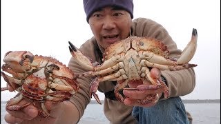 How to Catch Crab from a Jetty  Oregon Crabbing [upl. by Kraus]