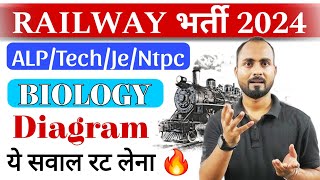 Railway Exam 2024  Biology Diagram के ये सवाल रट के जाना 🔥  Railway Science  RRB Biology RLY SPL [upl. by Mcmurry]