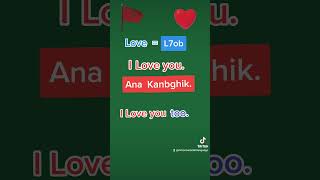 How to say I Love You in Darija Moroccan Arabic [upl. by Kendrah]