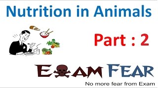 Biology Nutrition in Animals Part 2 Modes of Nutrition Autotrophic Heterotrophic Class 7 VII [upl. by Asusej]