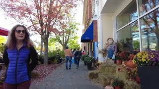 Niagara On The Lake Walking Tour  Ontario Canada [upl. by Enicnarf]