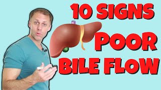 10 Signs of Poor Bile Flow [upl. by Elcarim]