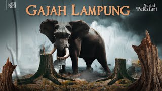 GAJAH LAMPUNG  PELESTARI [upl. by Olrac]