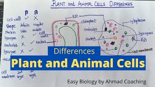 Plant and Animal Cells Differences with Diagrams  Easy Biology [upl. by Charlie]