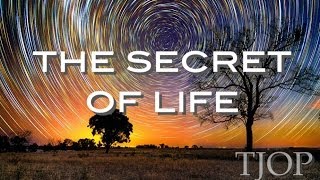 The Secret of Life  Alan Watts [upl. by Chance345]